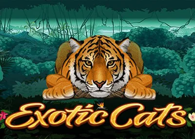 Exotic Cats