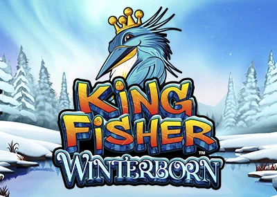 Kingfisher Winterborn