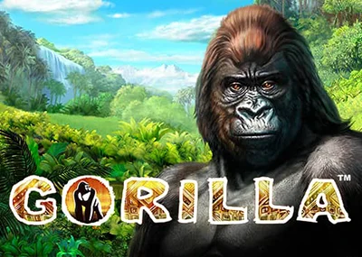 Gorilla