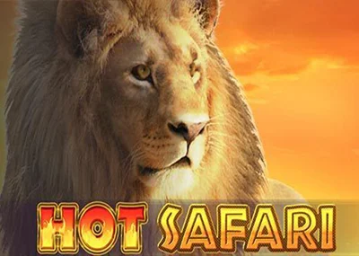 Hot Safari