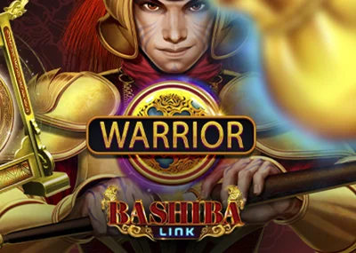 Bashiba Link Warrior